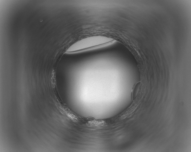 X0000071330480200606230808