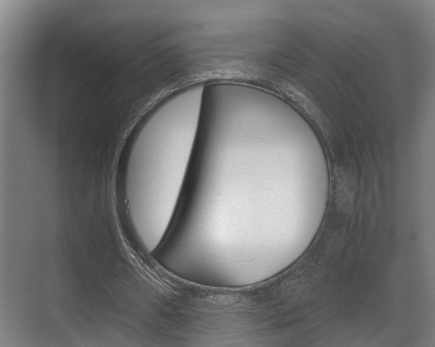 X0000071330482200606230808