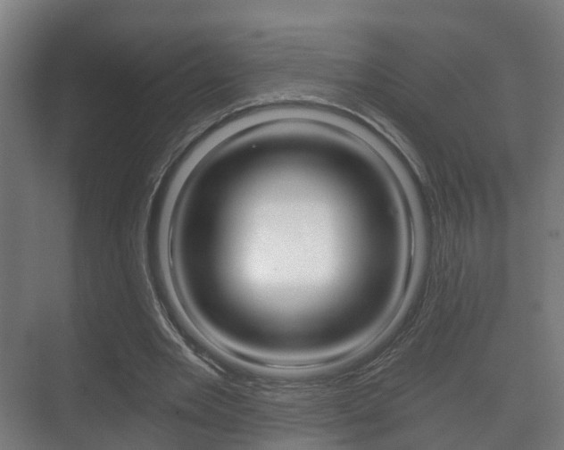 X0000071330485200606230807