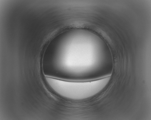 X0000071330493200606230807