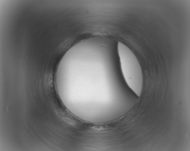 X0000071330502200606230807