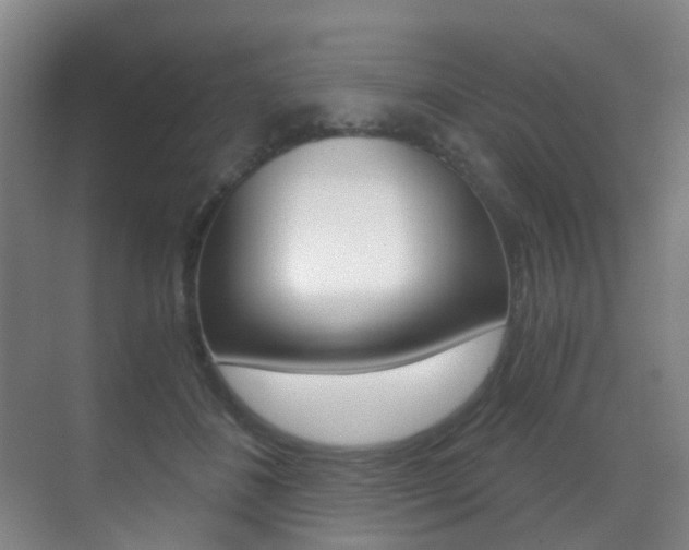 X0000071330508200606230807