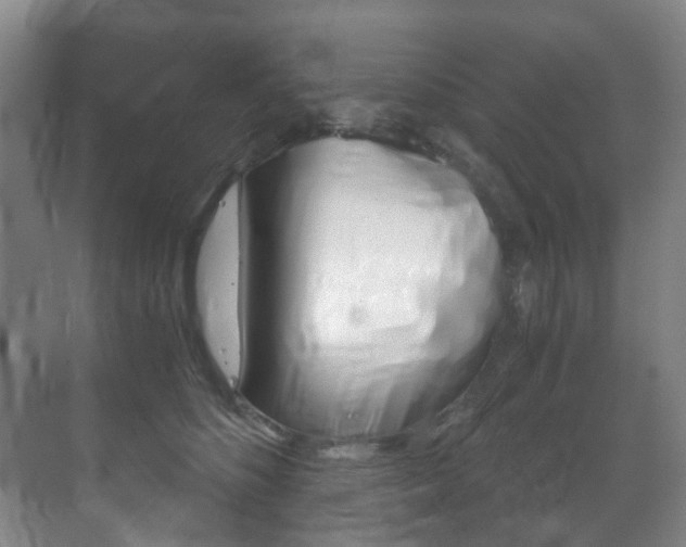 X0000071330516200606230807