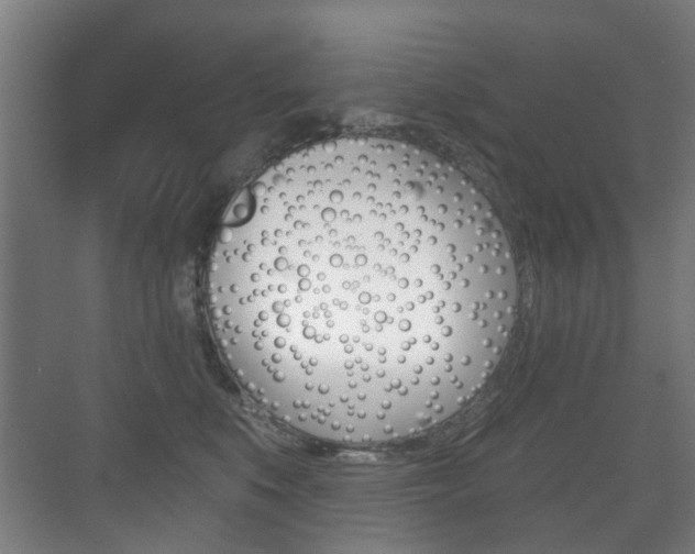 X0000071330519200606230807