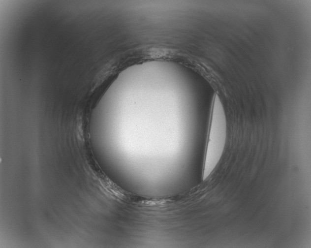 X0000071330524200606230807