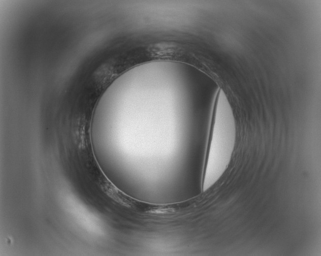 X0000071330525200606230807