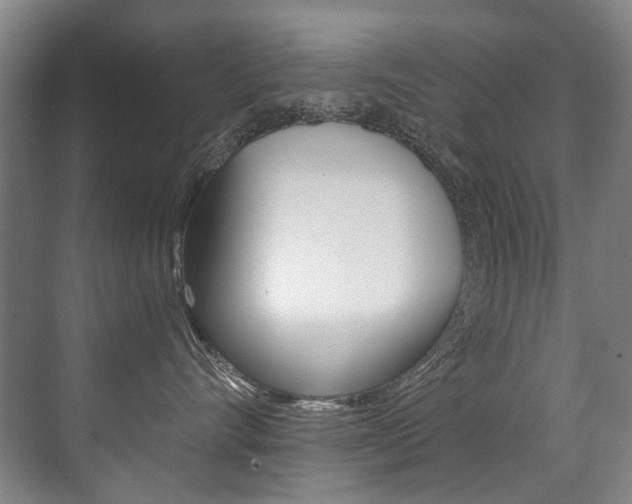 X0000071330528200606230807