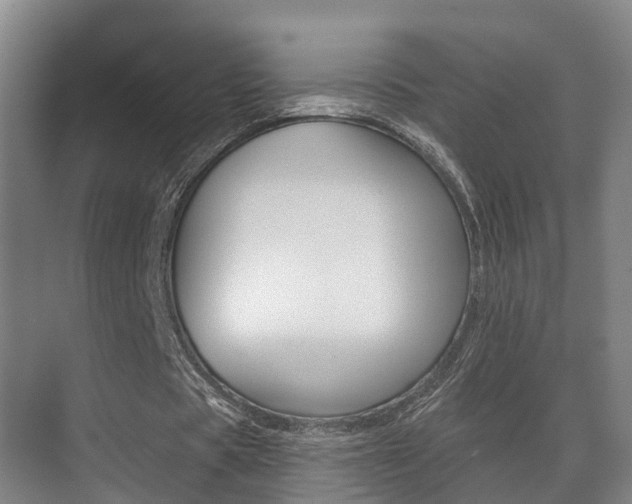 X0000071330529200606230806