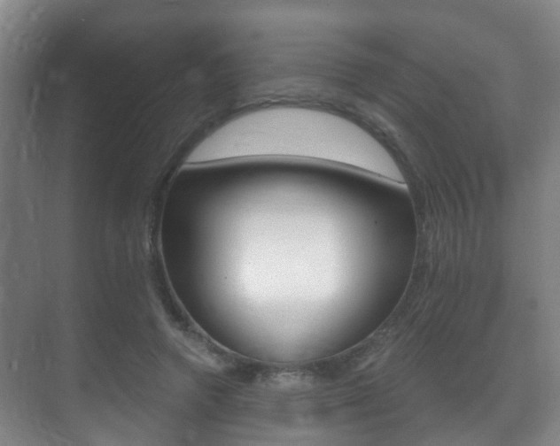 X0000071330546200606230806