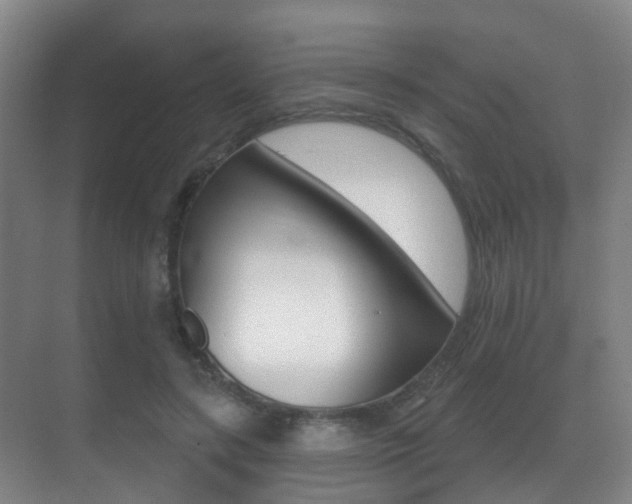 X0000071330547200606230806