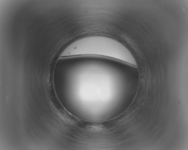 X0000071330548200606230806