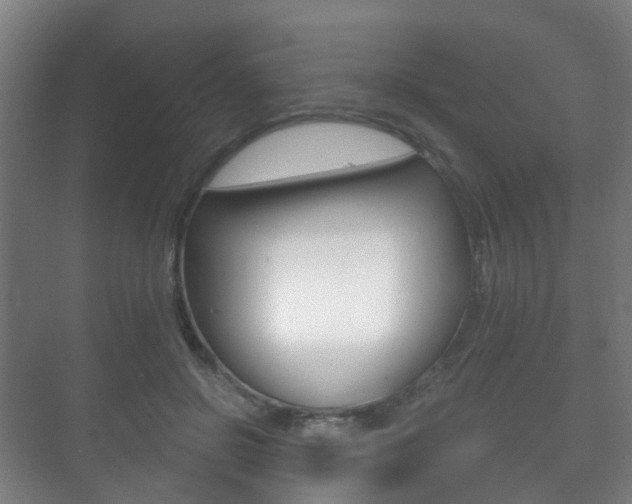 X0000071330550200606230806