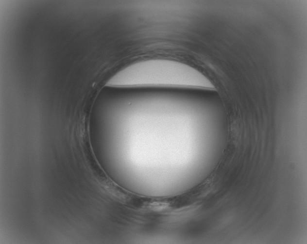 X0000071330554200606230806
