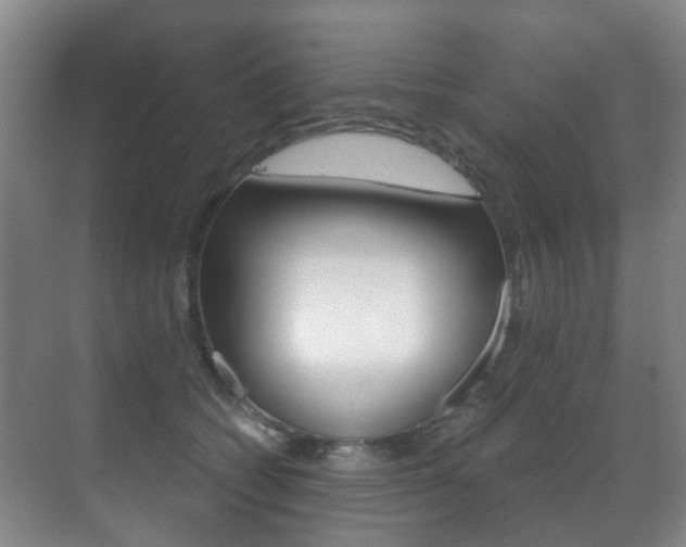 X0000071330562200606230806
