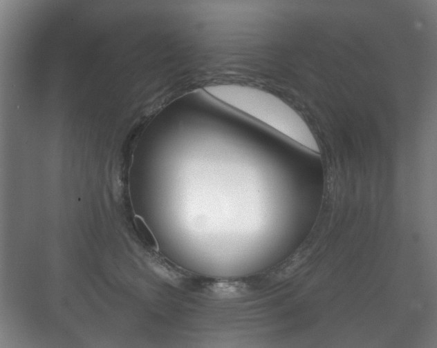 X0000071330566200606230807