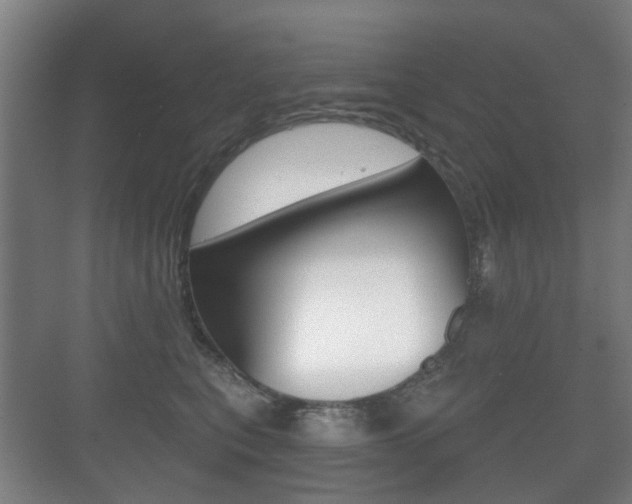 X0000071330567200606230807