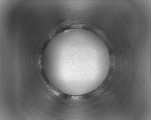 X0000071330573200606230807