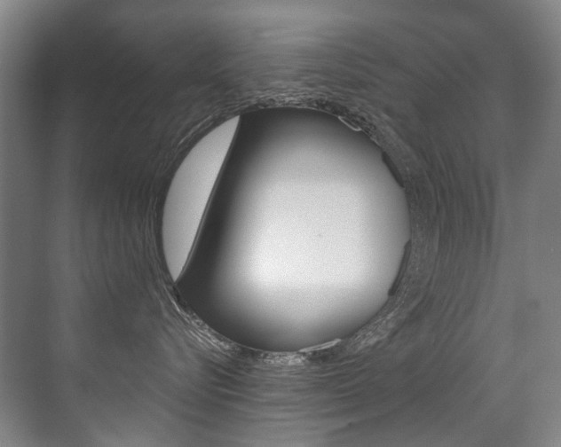 X0000071330576200606230807
