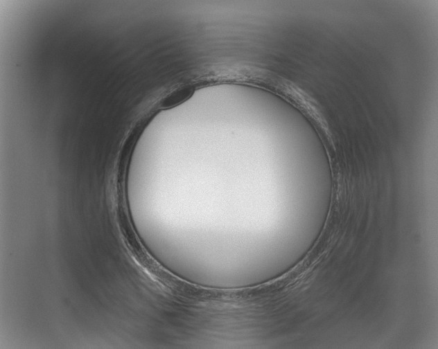 X0000071330578200606230806