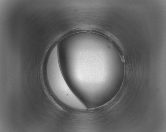X0000071330581200606230806