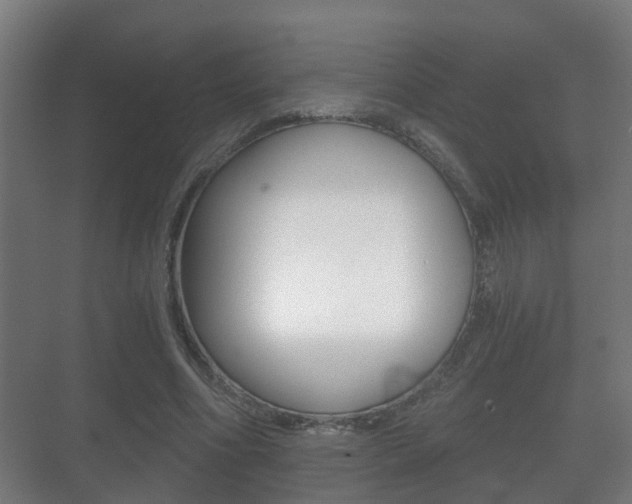 X0000071330586200606230806