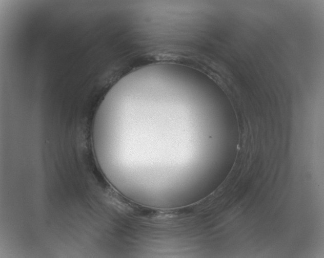 X0000071330604200606230805