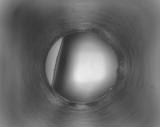 X0000071330605200606230805