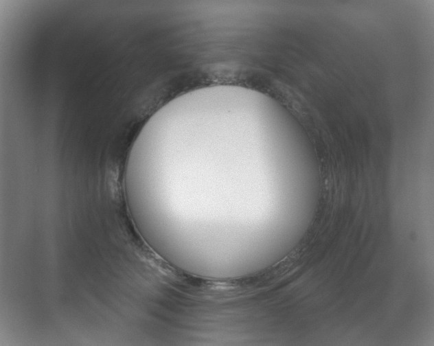 X0000071330610200606230805
