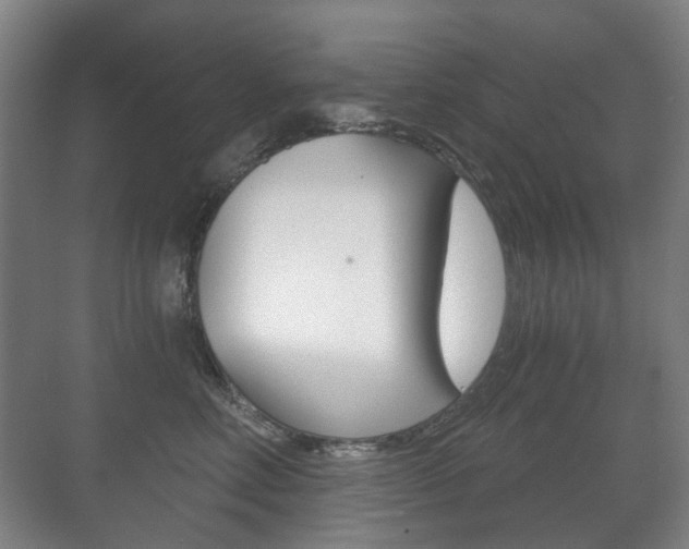 X0000071330618200606230805