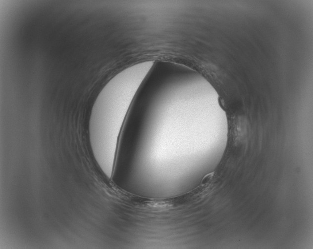 X0000071330619200606230805
