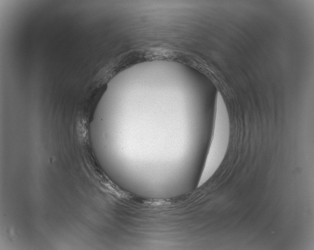 X0000071330621200606230805