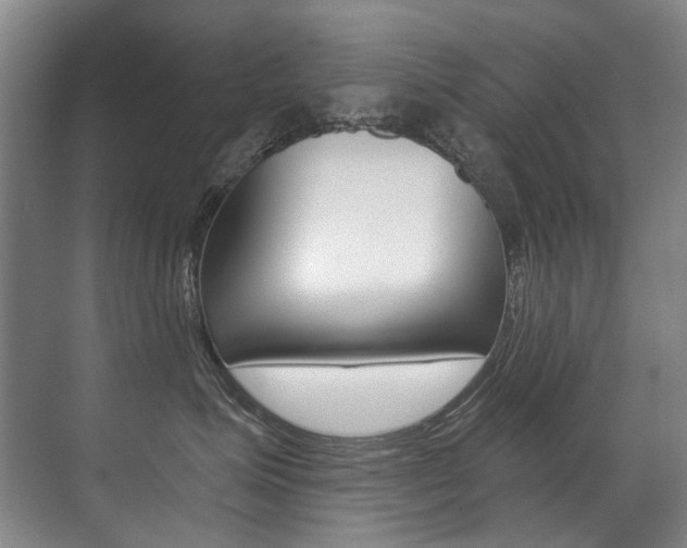 X0000071330623200606230805