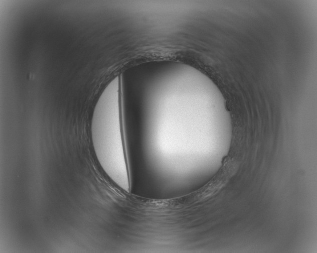 X0000071330624200606230805