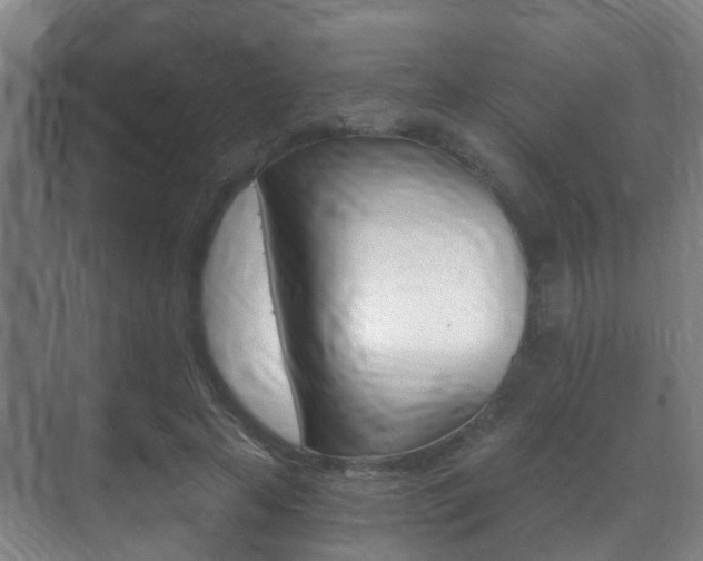 X0000071330641200606230805