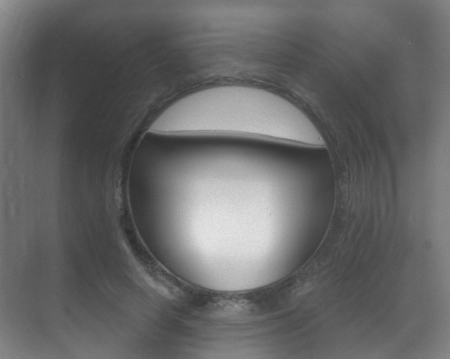 X0000071330642200606230805