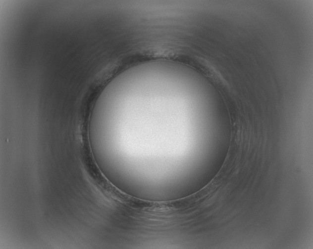 X0000071330643200606230805