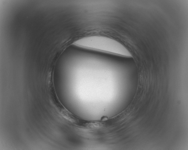 X0000071330652200606230805
