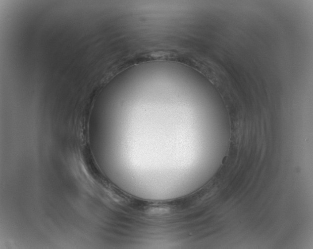 X0000071330653200606230805