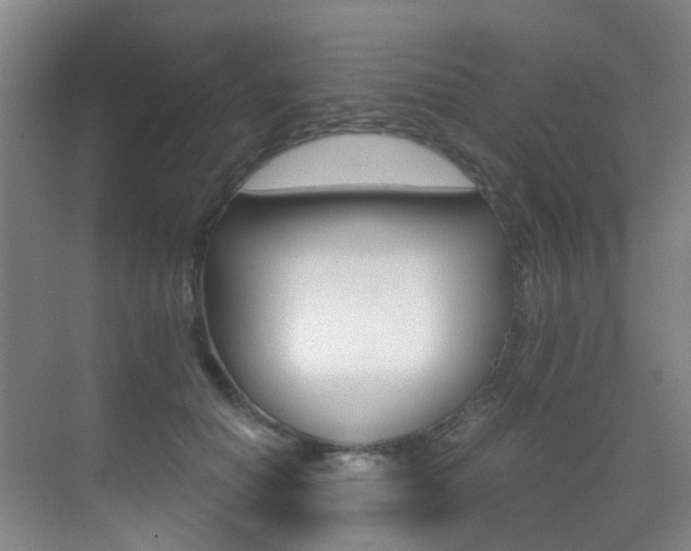 X0000071330654200606230805