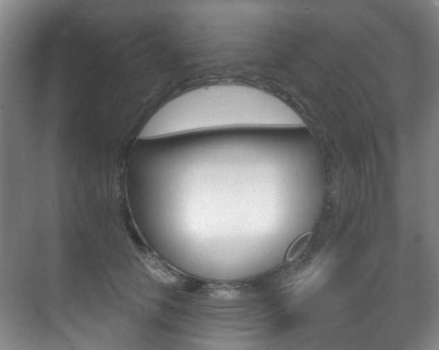 X0000071330658200606230805