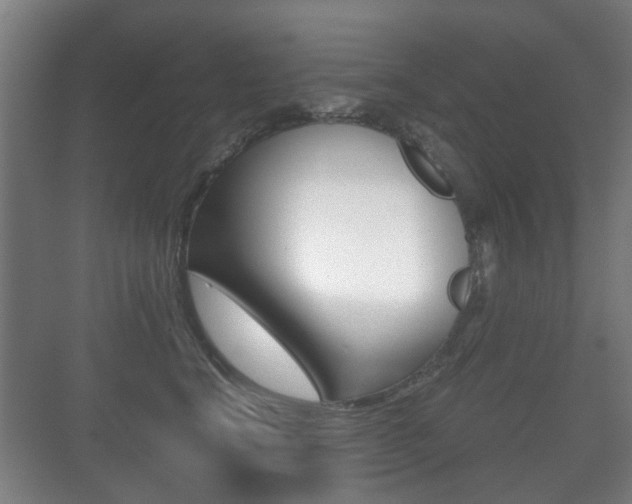 X0000071330664200606230805
