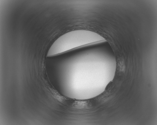 X0000071330665200606230805