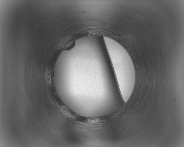 X0000071330666200606230805
