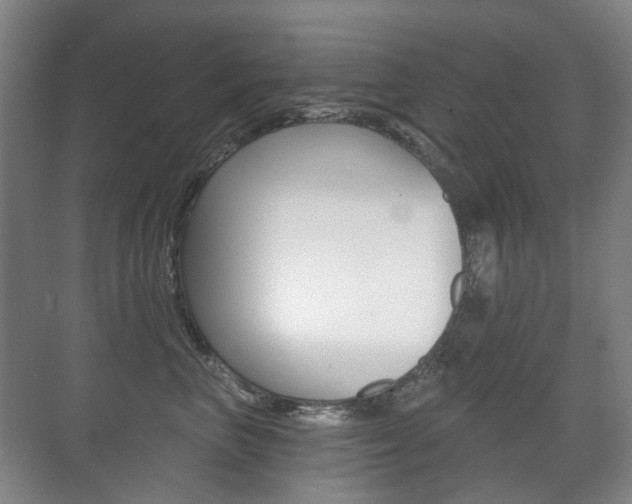 X0000071330667200606230805