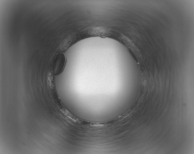 X0000071330669200606230805