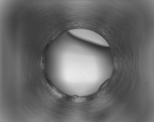 X0000071330670200606230805