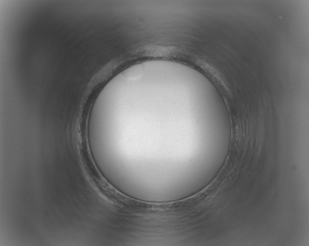 X0000071330682200606230804