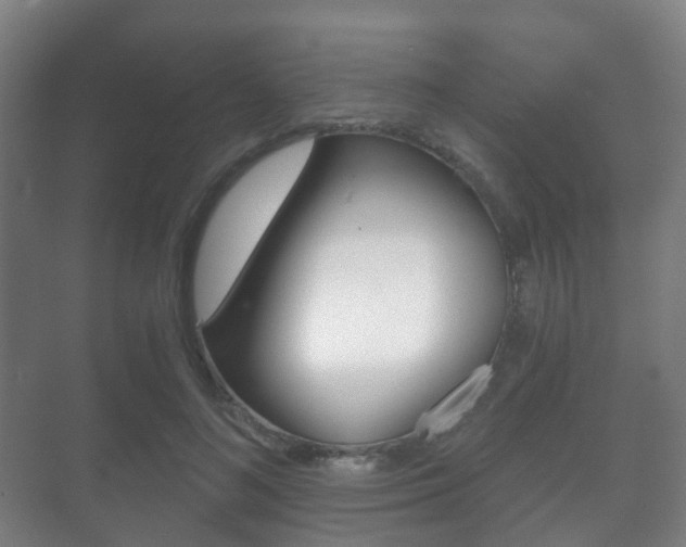 X0000071330692200606230804