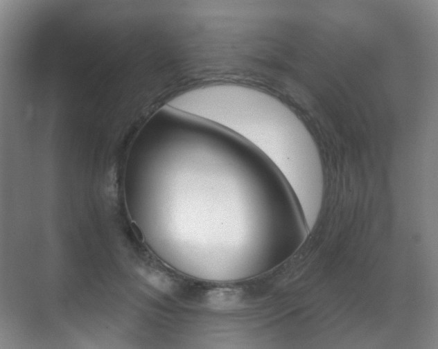 X0000071330700200606230804
