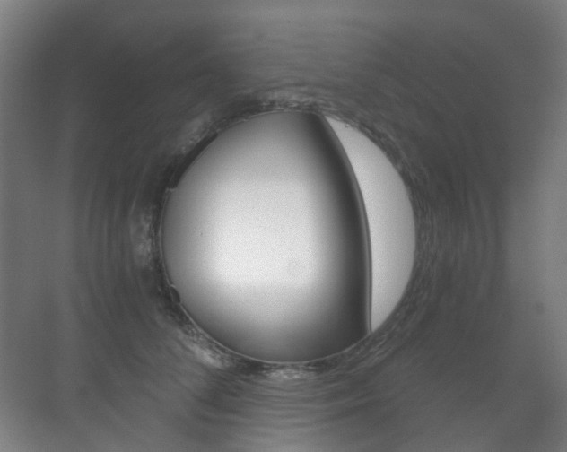 X0000071330708200606230804
